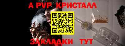 ECSTASY Камышлов