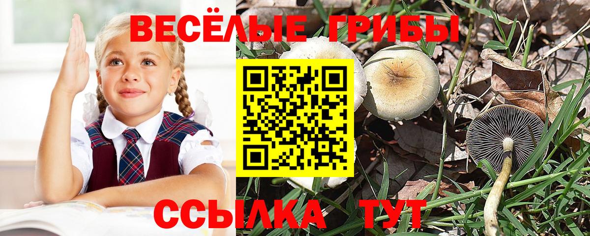 Галлюциногенные грибы ЛСД Уссурийск