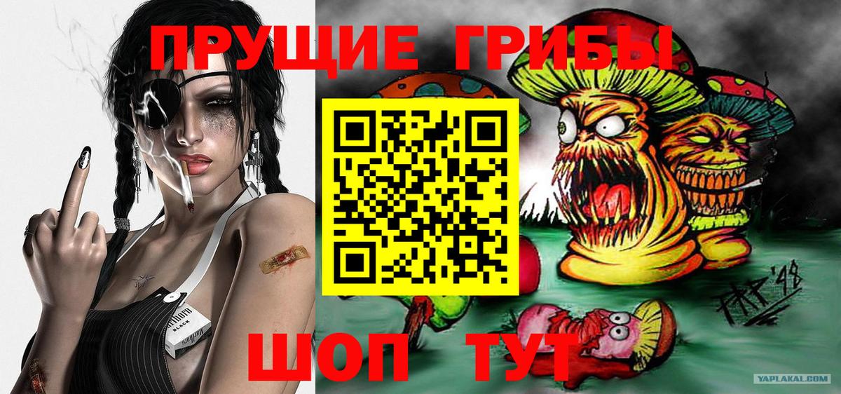 Уссурийск  Псилоцибиновые грибы Psilocybe  Вход с VPN 